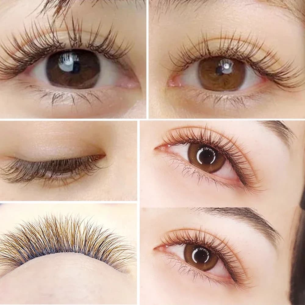 Brown Ellipse Flat Split-Tip Lashes B/C/D Curl 12 Rows