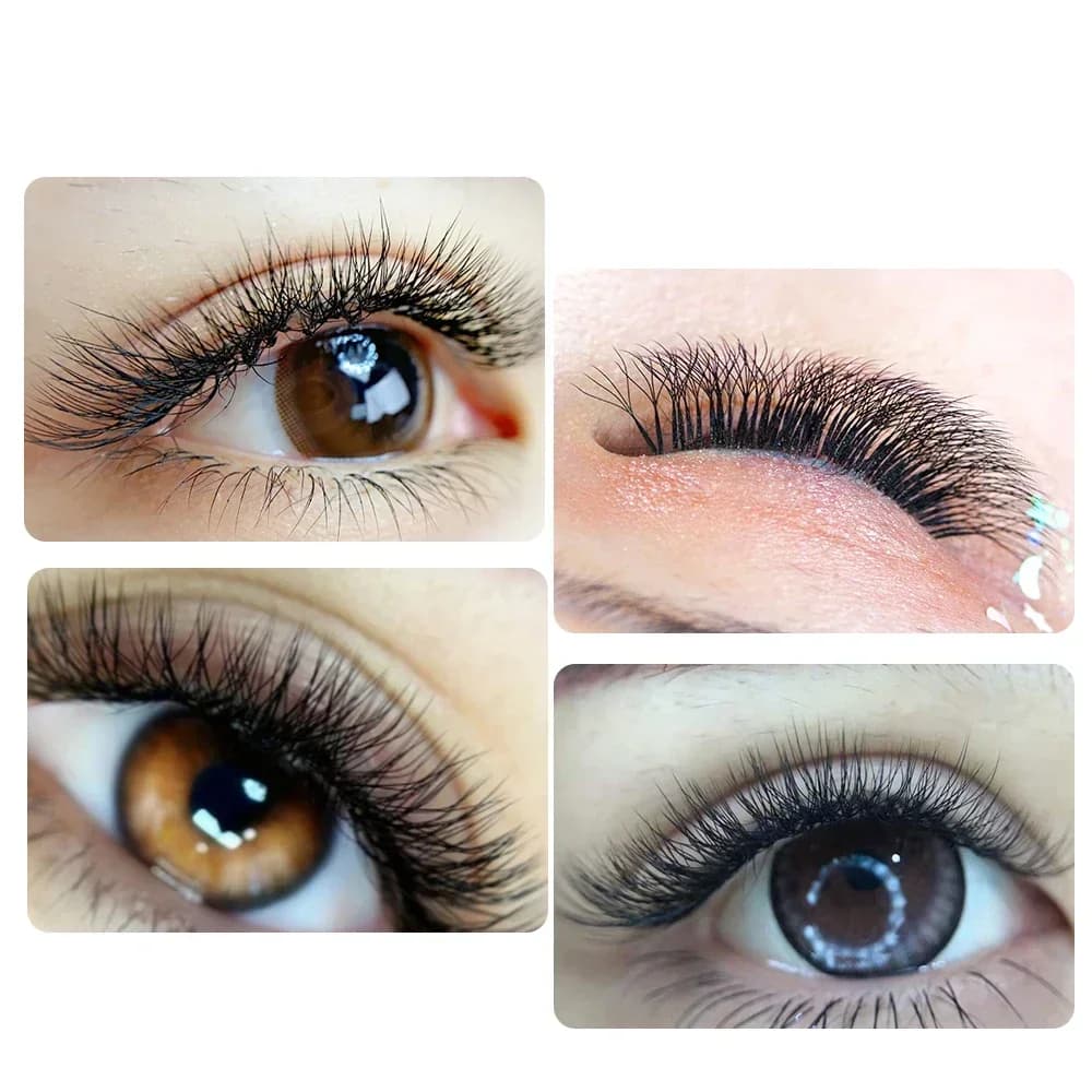 Ventagli premade 4D a forma di W 0.07mm Curvatura D
